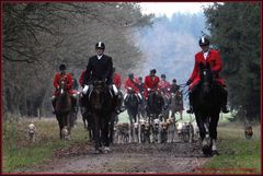 1. Stuhrer Meute Jagd - November 2007