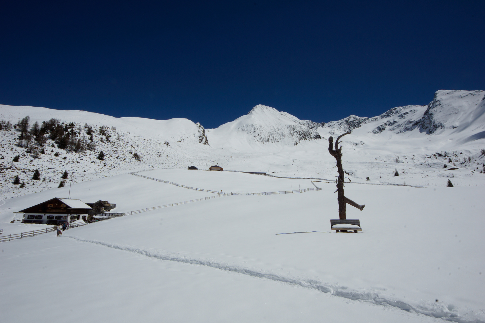 1; Südtirol ; 11 mm