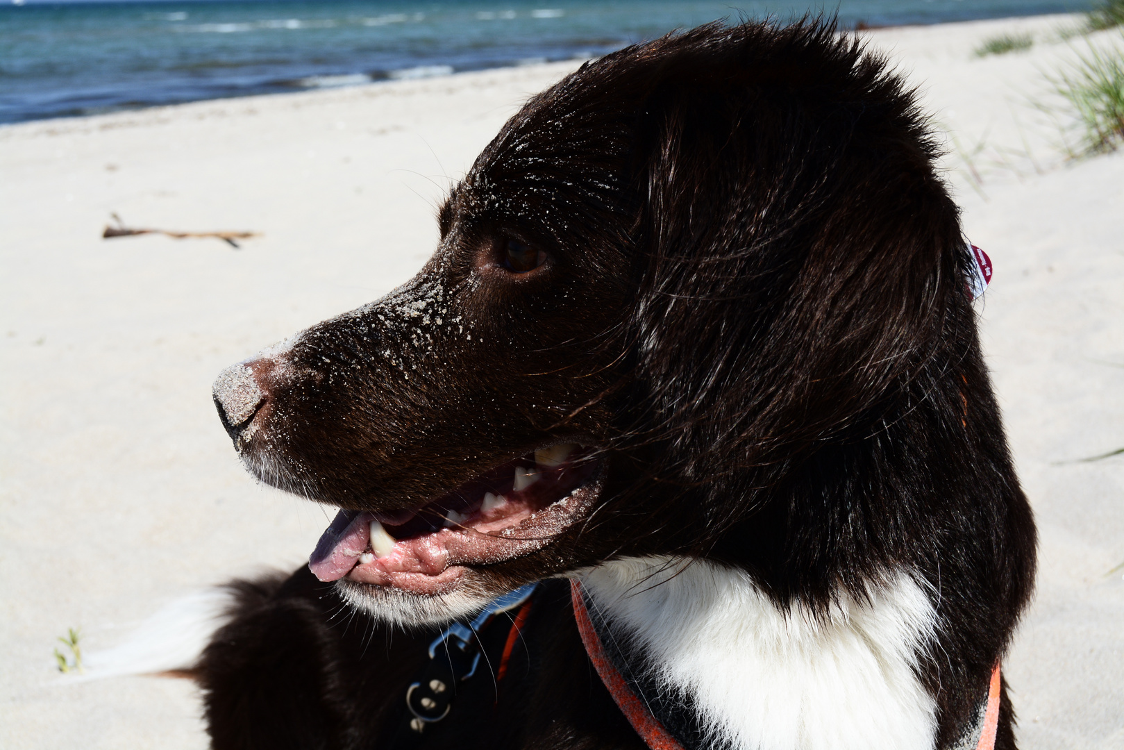 1. Tag am Strand