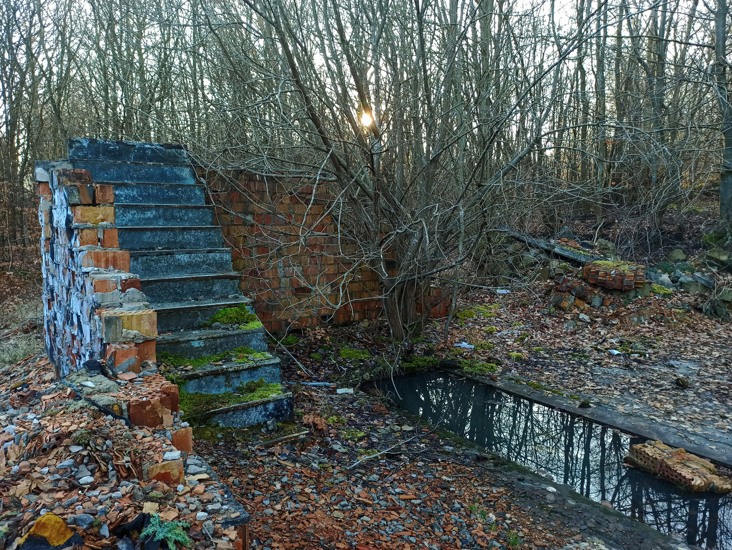 1. Treppe bei Hoffmann 