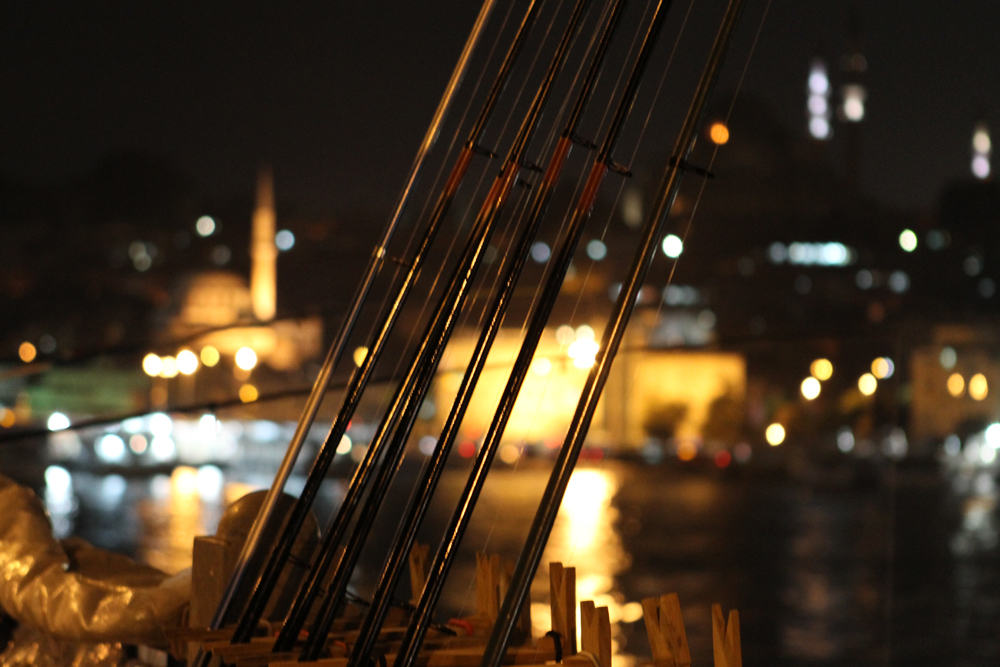 1. Turkey 2010-as I saw:" Fishing on the Galata bridge"