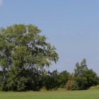 1. Versuch Panorama