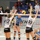 1. Volleyballbundesliga Damen