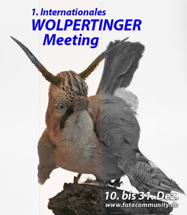 1. Wolpertinger-Meeting