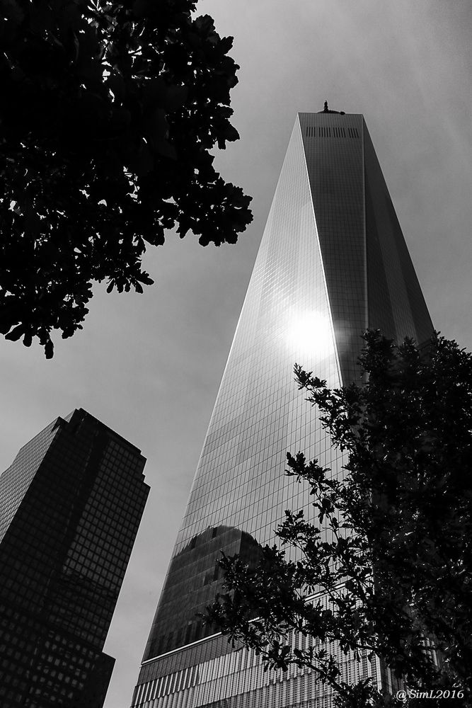 1 WTC