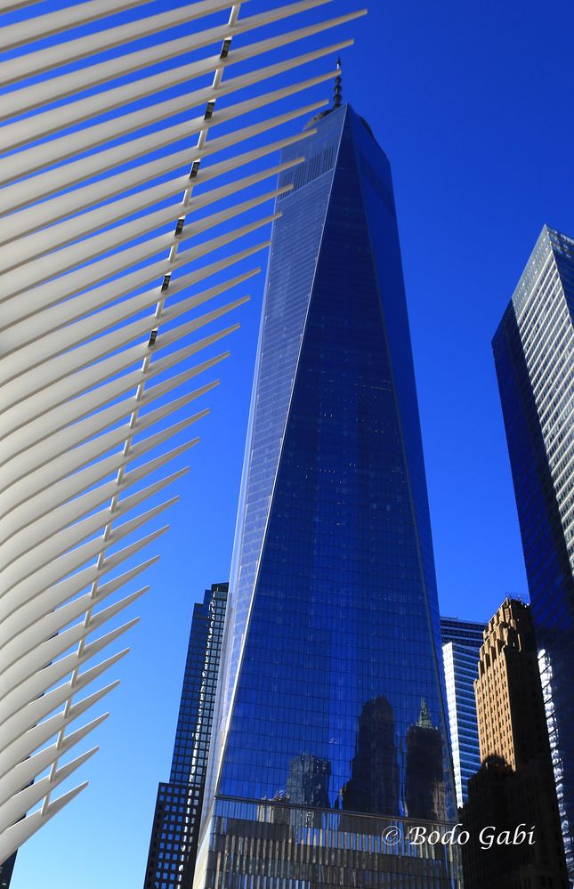 1 WTC