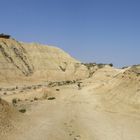 10 05 24 Les Bardenas (68)