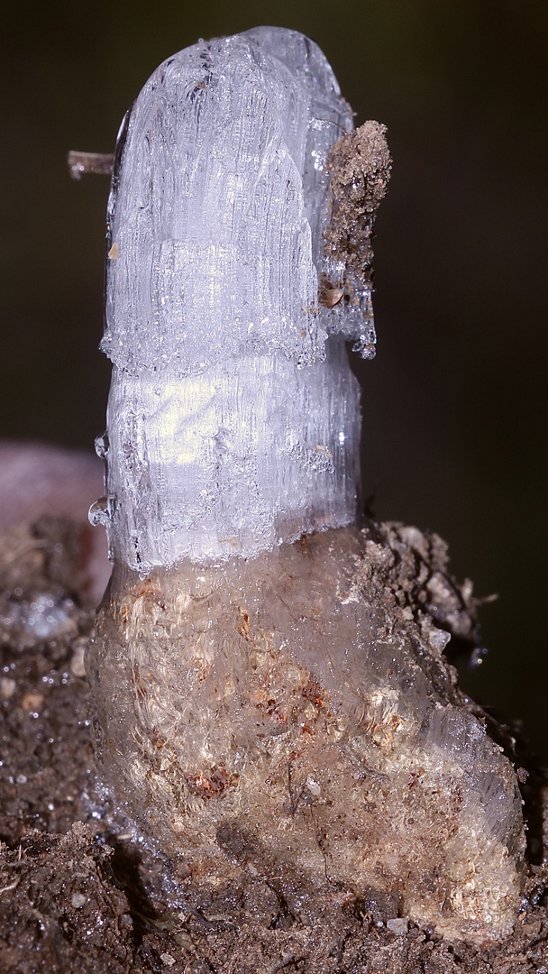 (10) Auflösung des Sonntagabend-Rätsels von gestern: PEBBLE ICE