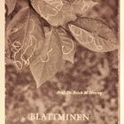 (10) Blattminen - Tischeria ekebladella / M. Hering ...