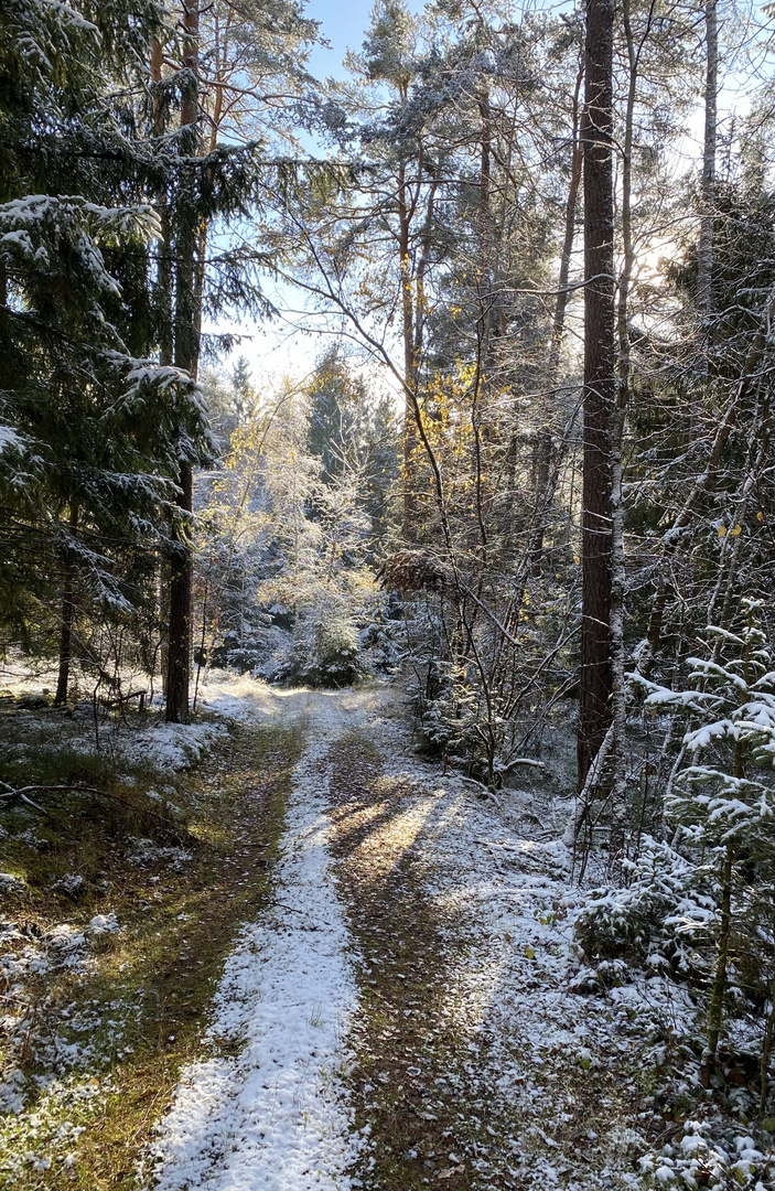 (10) Der erste richtige Schnee diesen Winter - ein wunderschöner Sonntagmorgen-Spaziergang
