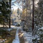 (10) Der erste richtige Schnee diesen Winter - ein wunderschöner Sonntagmorgen-Spaziergang
