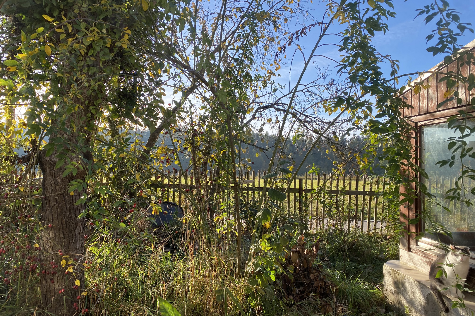 (10) Herbst in der Oberpfalz - schwarzweiß und bunt ...