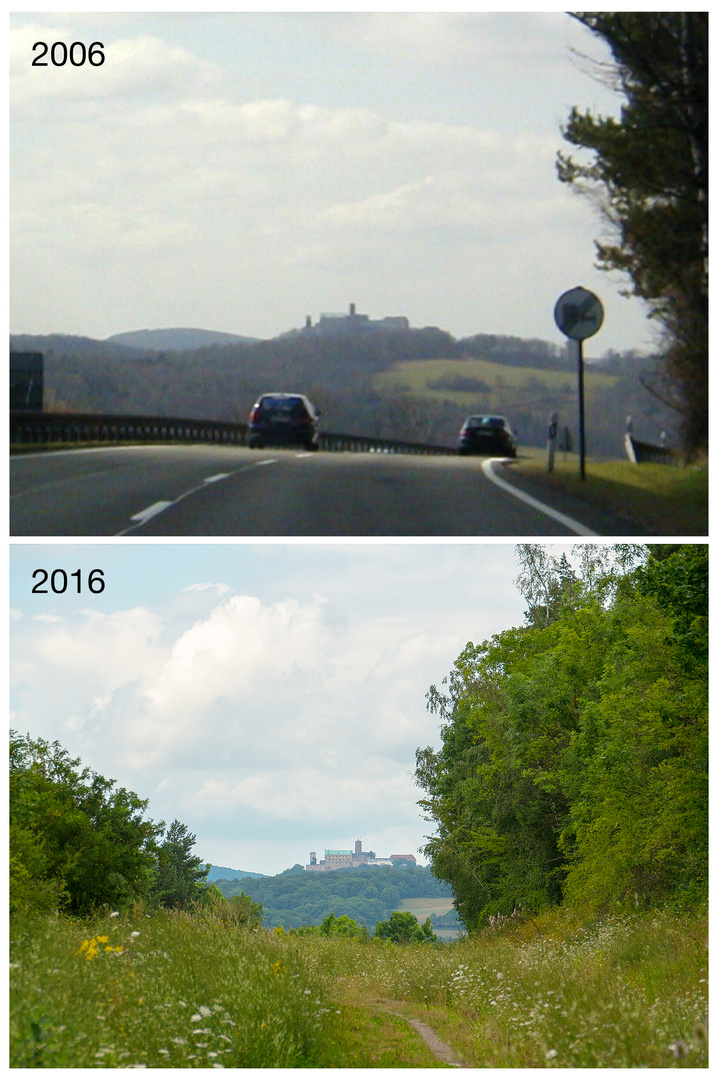 10 Jahre - Die Natur kehrt zurück - Und das mitten in Deutschland.