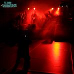 10 Jahre Promillos live