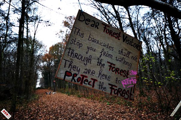 10 Jahre Waldspaziergang