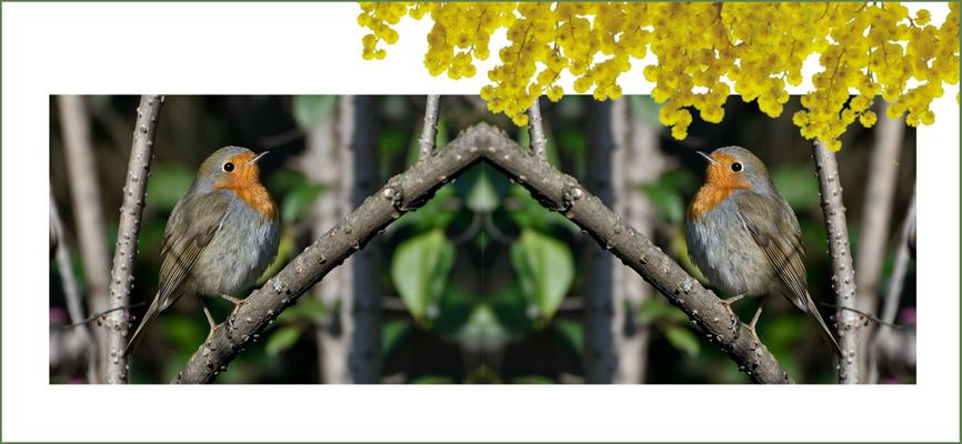 10 marzo 2009 - 10 marzo 2019