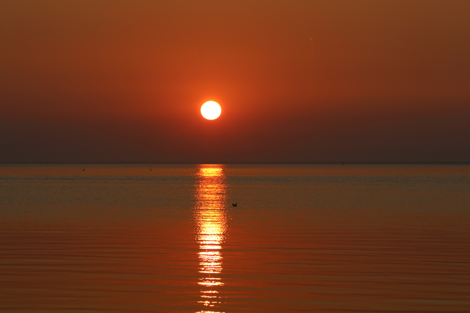 10 Minuten vor Sonnenuntergang.... 