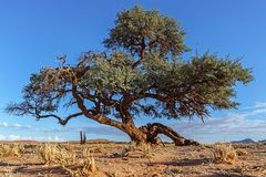 10. Namibia Wildlife Resorts Sesriem 