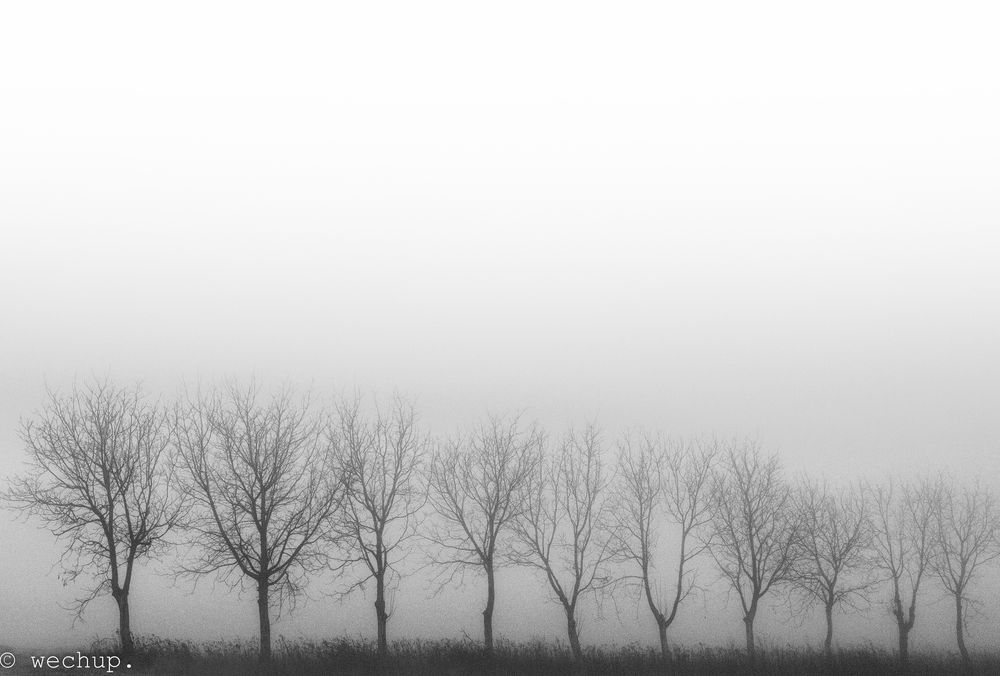 10 nella nebbia