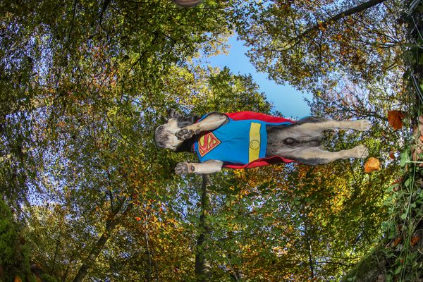 10 points for posture