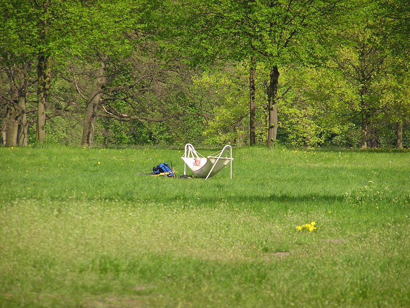 100% Frühling