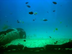 100 ft down @ Waikiki Beach