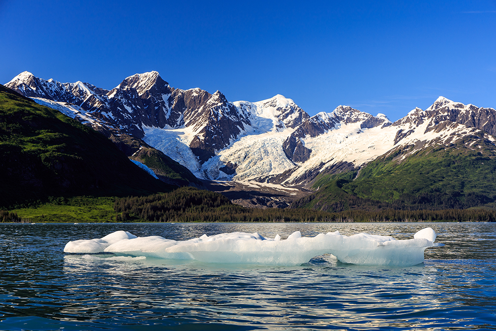 100 Gründe in Alaska sein Herz zu verlieren: #59 GEHEIMNISVOLLE BEGEGNUNG