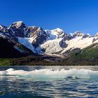 100 Gründe in Alaska sein Herz zu verlieren: #59 GEHEIMNISVOLLE BEGEGNUNG