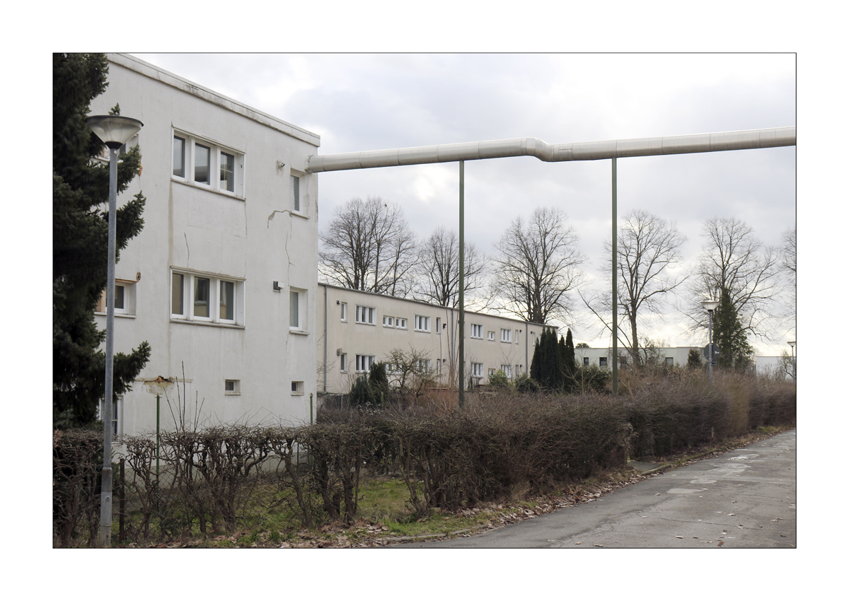 100 jahre bauhaus  | otto haesler  |  blumläger feld  | celle