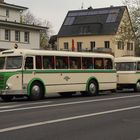 100 Jahre Bus in Dresden