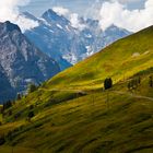 100 Jahre Jungfraubahn