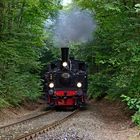 100 Jahre Maulbronner Seitenbahn