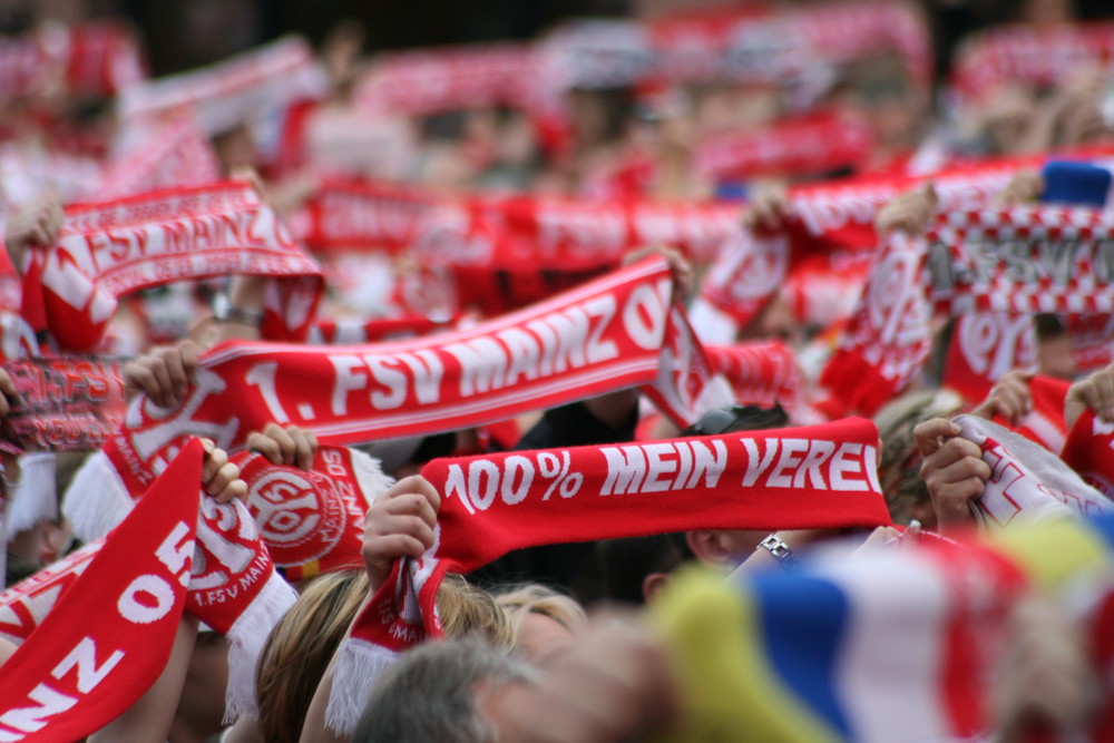 100% Mein Verein ... 1. FSV Mainz 05