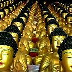 1000 Buddhas, Seoul, South Korea 2006
