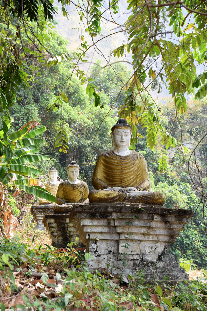 1000 Budha-Statuen