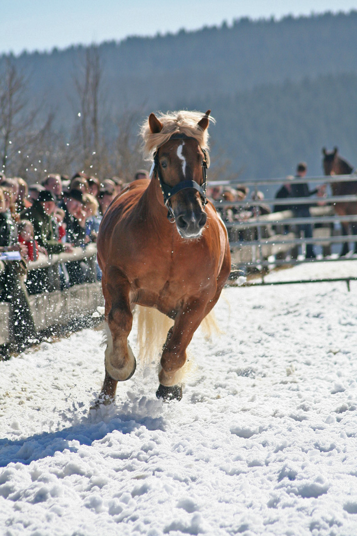 1000 kg Leichtigkeit im Schnee