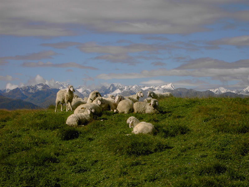 1000 Meter oberhalb von Innsbruck....