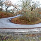 1000 miglia