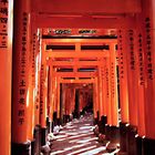 1000 rote Torii (1)