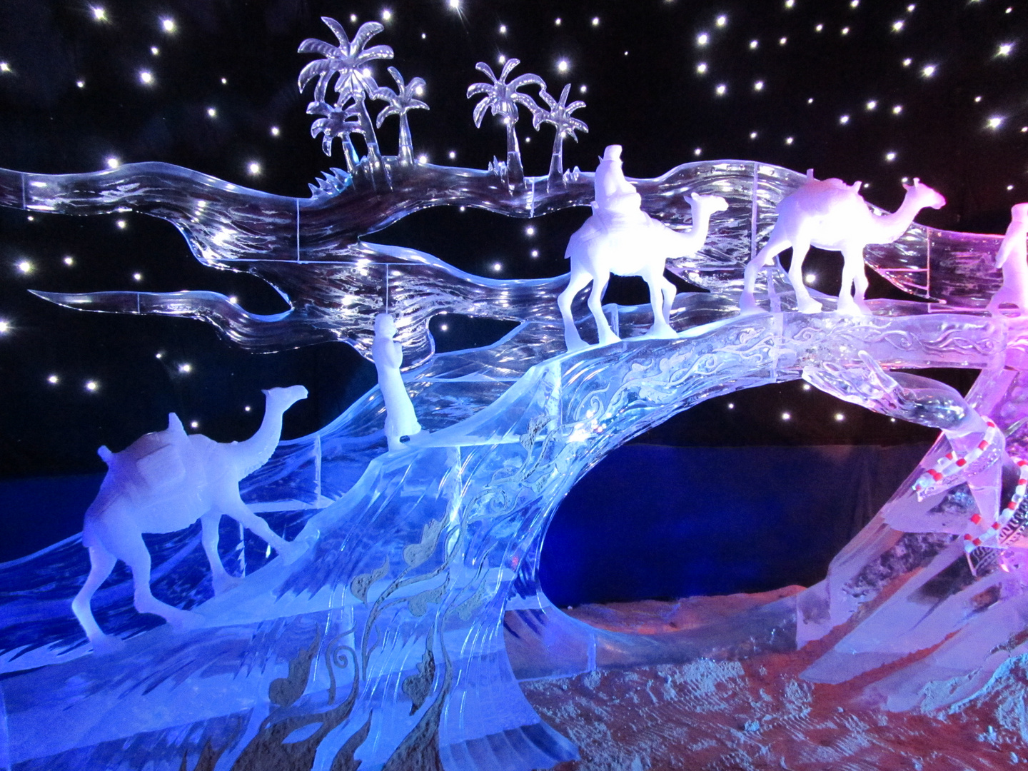 1000 und 1 Nacht Foto & Bild winter, motive, rostock Bilder auf
