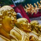 10.000 Buddhas