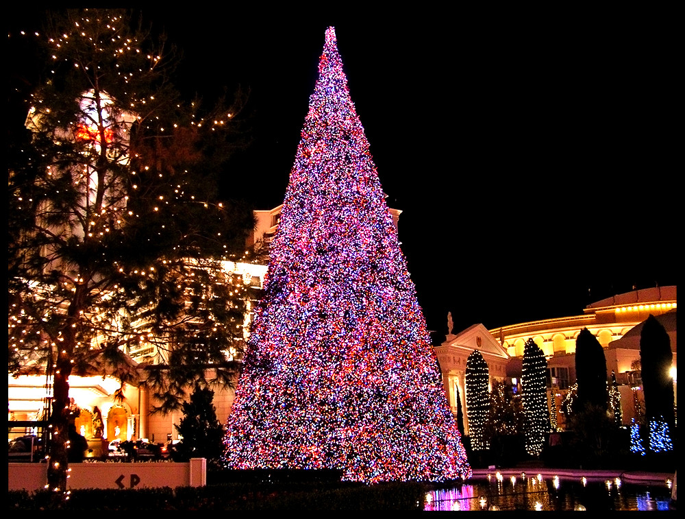 10000 Volt Weihnachtsbaum Viva Las Vegas Foto & Bild gratulation und feiertage, weihnachten