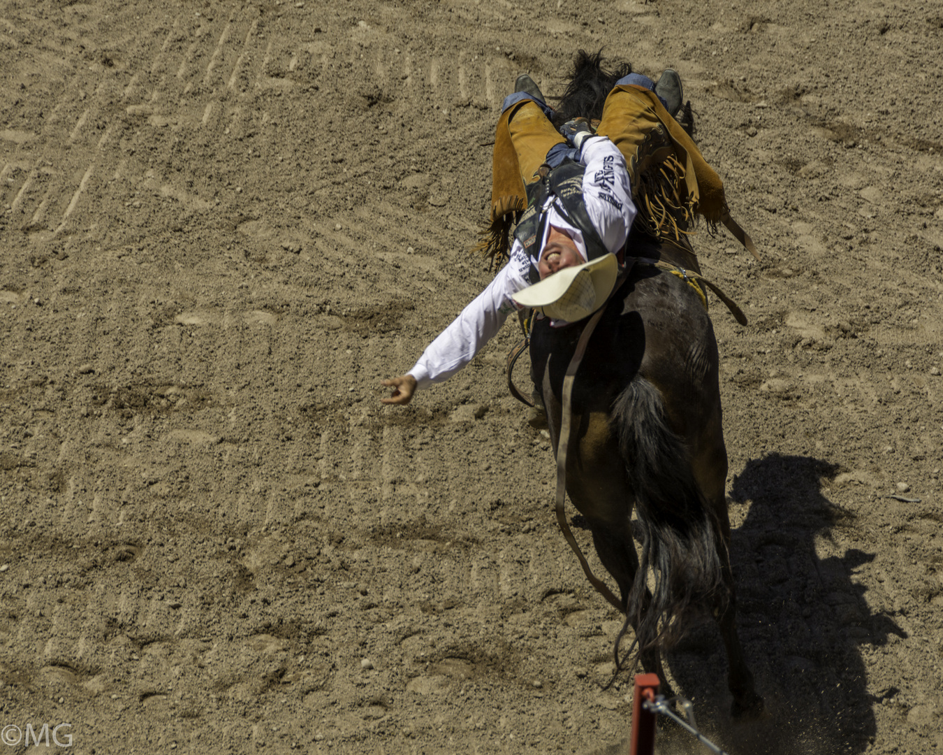 1000000 Millionen Dollar Rodeo