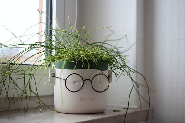 100_0303_Stille-Momente