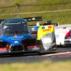 1000km of Hungaroring - Team ORECA Matmut Peugeot 908