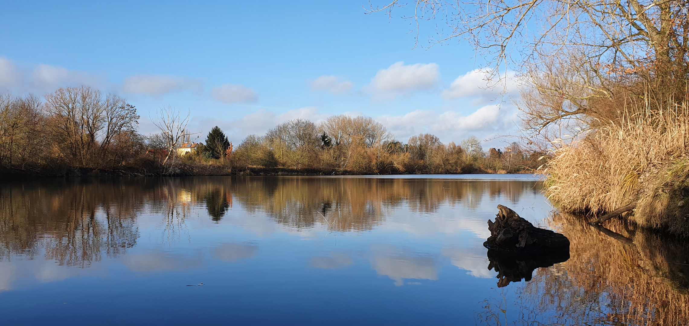 10.01.2021 Wuhlesee Berlin Biesdorf 