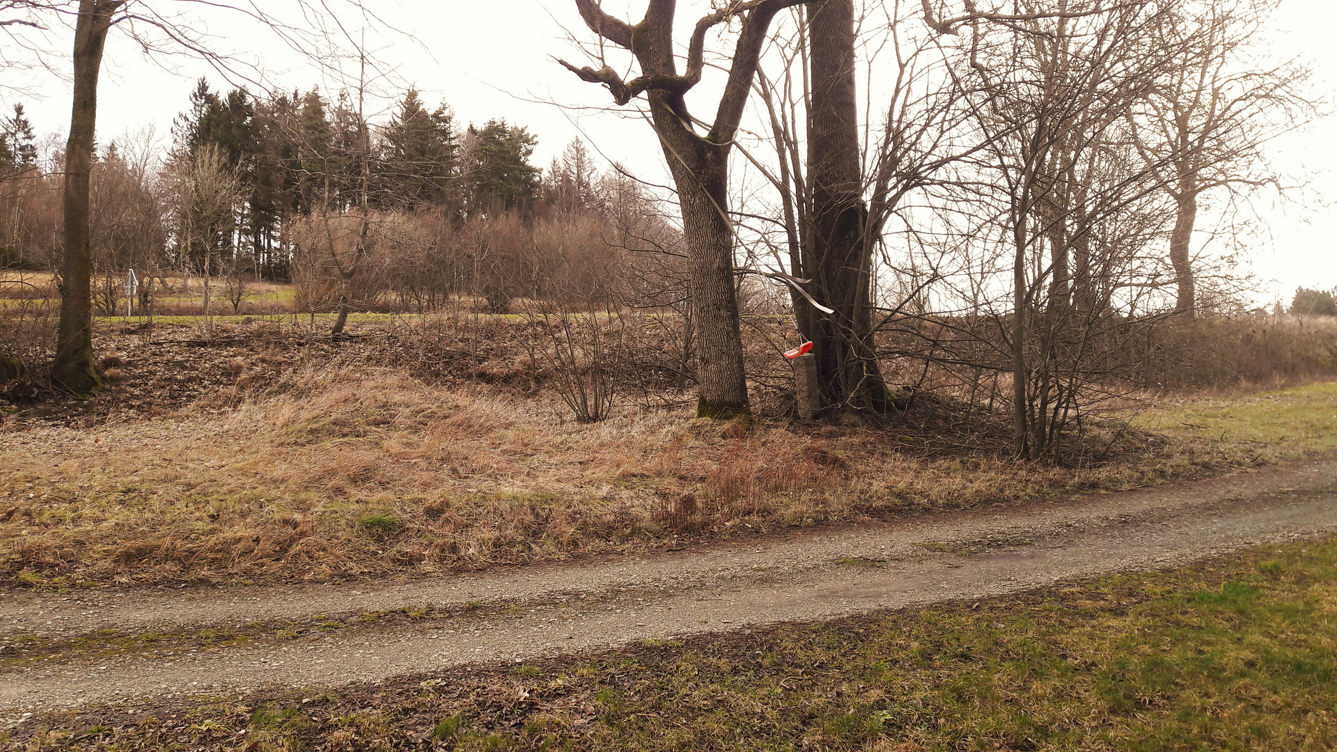 10.02.2020 Windkraftschaukel in Schräglage