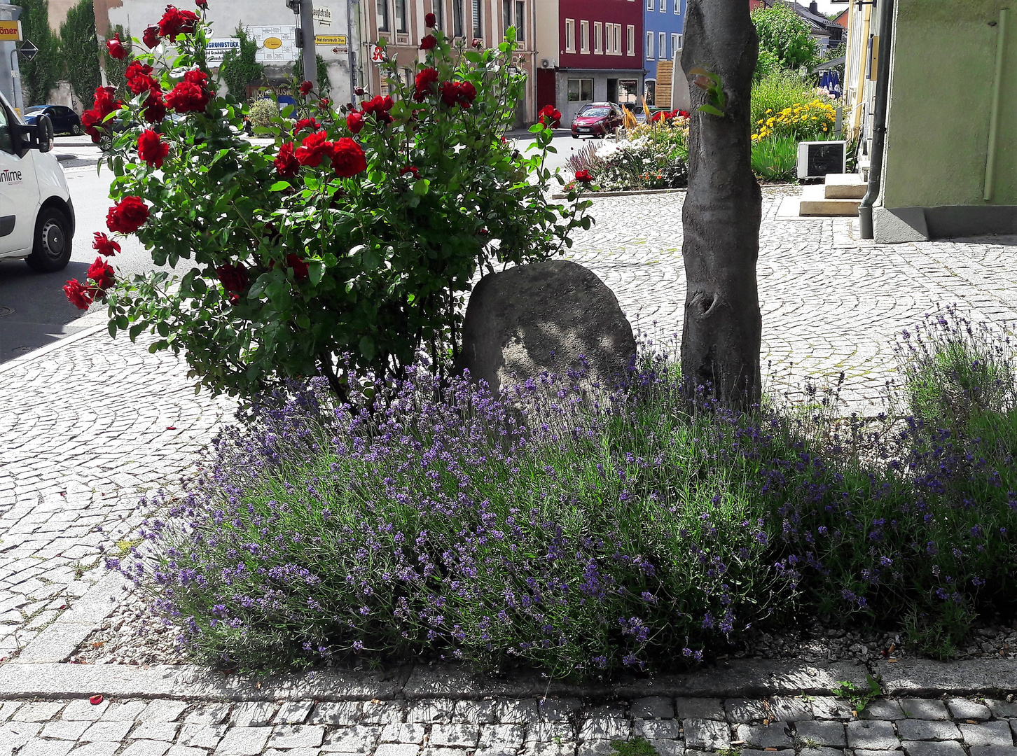 10.07.2020  Stadt Gefrees Blumenschmuck