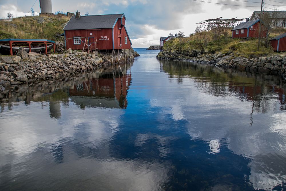 100736-Ä-Lofoten