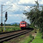 101 027 mit einem IC bei Wiesloch-Walldorf